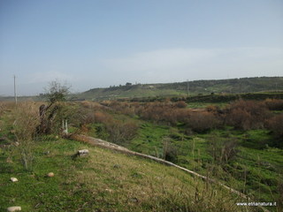 lle del Simeto-24-02-2013 09-56-14